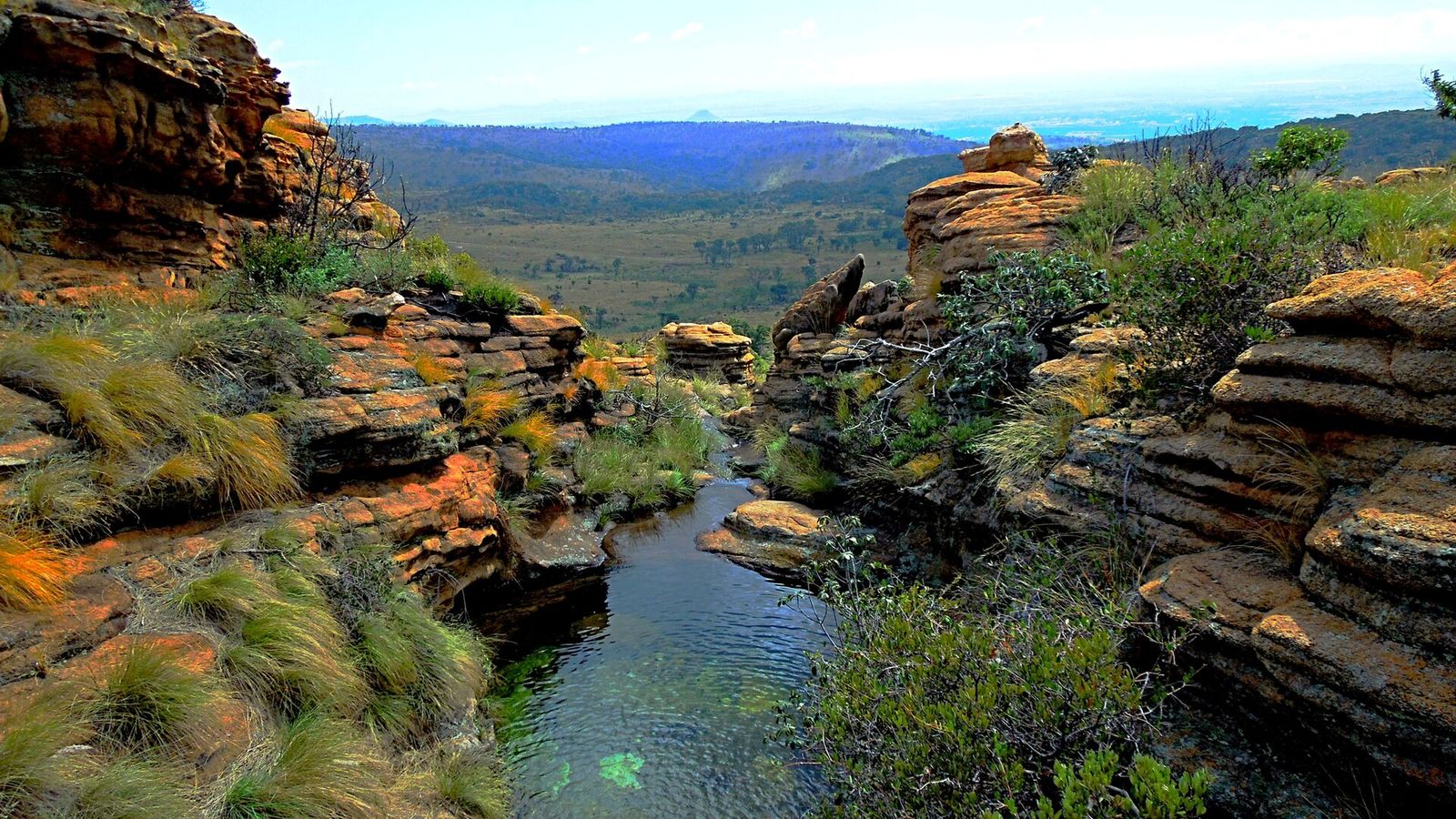 Magalies Ridge